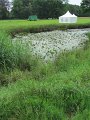 IMG_7516
