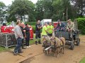 IMG_7526