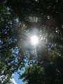 IMG_7612