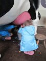 IMG_7701