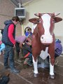 IMG_7703