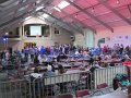 IMG_7715