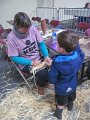 IMG_7717