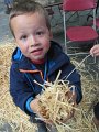 IMG_7719