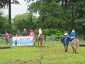 IMG_7755