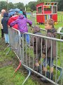 IMG_7763