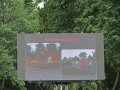 IMG_7810