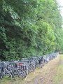 IMG_7817