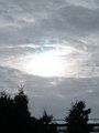 IMG_7928