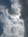 IMG_7962