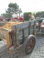 IMG_7964