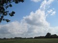 IMG_7978