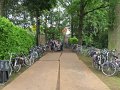 IMG_8536