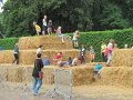 IMG_8539