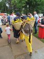 IMG_8544