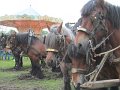 IMG_8576