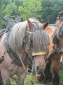 IMG_8579