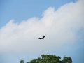 IMG_8600