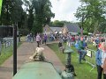 IMG_8632