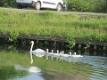 IMG_8674