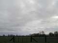 IMG_5617