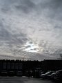 IMG_5650