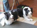 IMG_5919