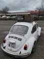 IMG_6111