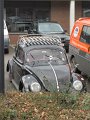 IMG_6129