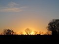 IMG_4427