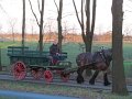 IMG_4435
