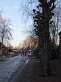 IMG_4472