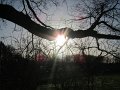 IMG_4567