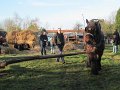 IMG_4692