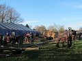IMG_4693