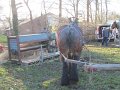 IMG_4694