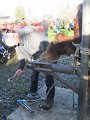 IMG_4701