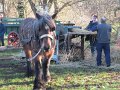 IMG_4704