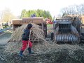 IMG_4707