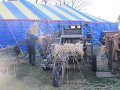 IMG_4710