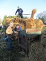 IMG_4719