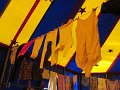 IMG_4760