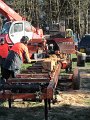 IMG_4951