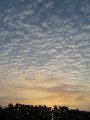 IMG_1552