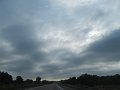 IMG_1584