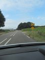 IMG_1595
