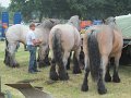IMG_1768