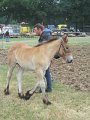 IMG_1770