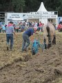 IMG_1771