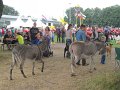 IMG_1848